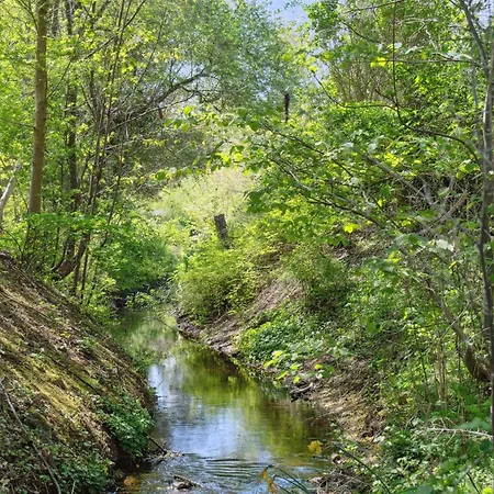 Thora - 800m From The Sea By Interhome Hébergement de vacances *